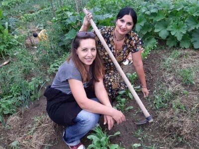 Kako su građani od zapuštenog gradskog zemljišta napravili baštu prepunu povrća uzgojenog na bio način