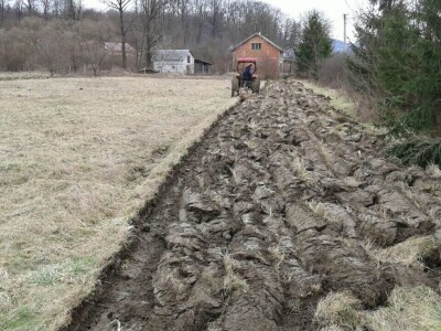 Kako su građani od zapuštenog gradskog zemljišta napravili baštu prepunu povrća uzgojenog na bio način