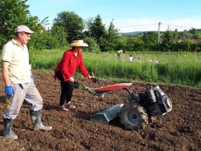 Kako su građani od zapuštenog gradskog zemljišta napravili baštu prepunu povrća uzgojenog na bio način