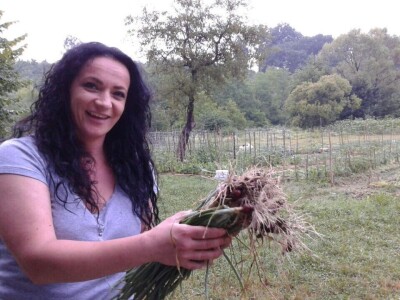 Kako su građani od zapuštenog gradskog zemljišta napravili baštu prepunu povrća uzgojenog na bio način