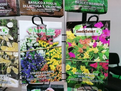 Kako započeti i zaljubiti se u baštovanstvo?