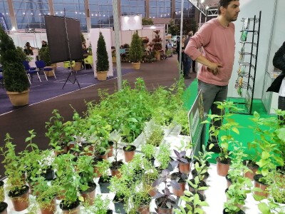 Kako započeti i zaljubiti se u baštovanstvo?