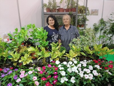 Kako započeti i zaljubiti se u baštovanstvo?