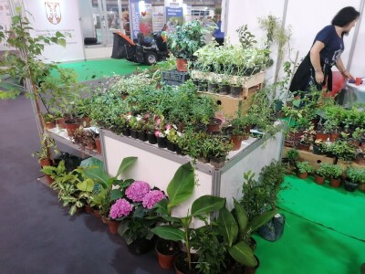 Kako započeti i zaljubiti se u baštovanstvo?