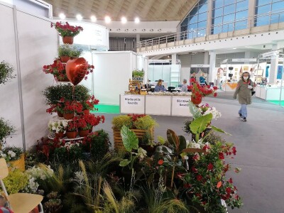 Kako započeti i zaljubiti se u baštovanstvo?