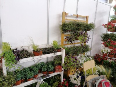 Kako započeti i zaljubiti se u baštovanstvo?