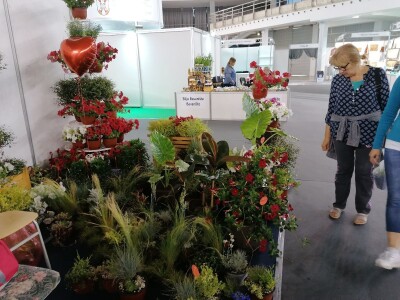 Kako započeti i zaljubiti se u baštovanstvo?