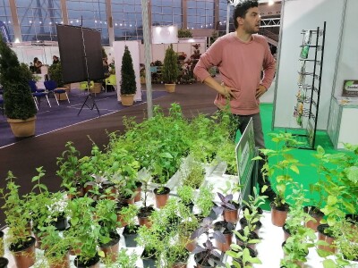 Kako započeti i zaljubiti se u baštovanstvo?