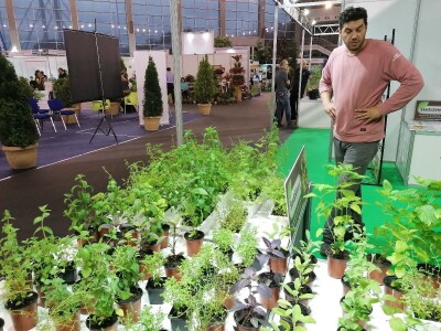 Kako započeti i zaljubiti se u baštovanstvo?