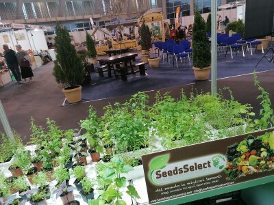 Kako započeti i zaljubiti se u baštovanstvo?