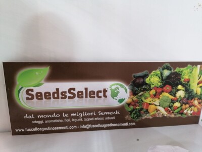 Kako započeti i zaljubiti se u baštovanstvo?