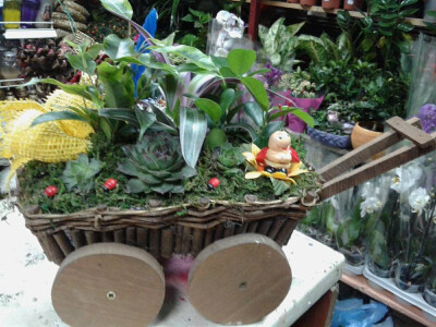 Iz ljubavi prema kaktusima razvila vlastiti posao