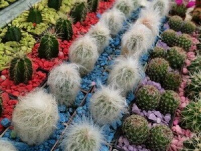 13. Sajam Proizvodi hrvatskog sela