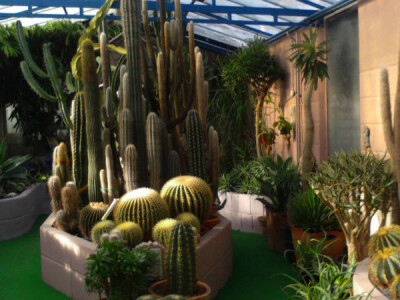 Oaza zelenila i ljepote Oaza zelenila i ljepote