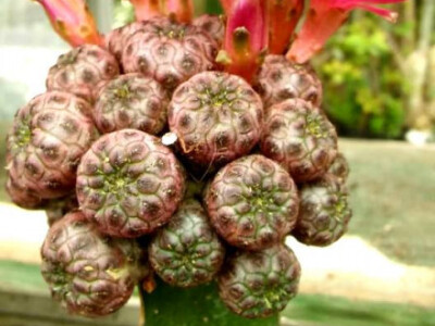 Originalnost na prvom mjestu Originalnost na prvom mjestu