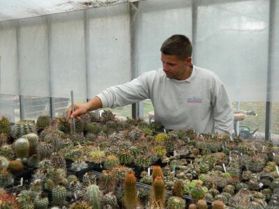 Kaktusi-vanplanetarne biljke