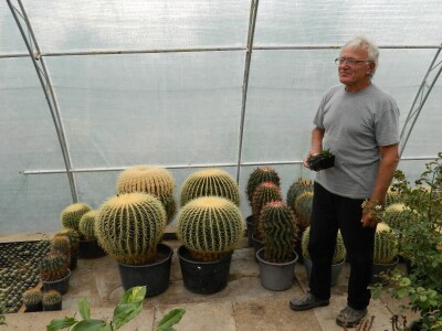 Kaktusi-vanplanetarne biljke