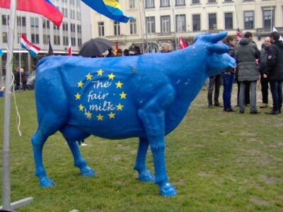 Previše mlijeka, a preniske cijene