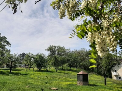 Kakvo će vreme biti ove godine?