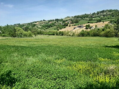 Kakvo će vreme biti ove godine?