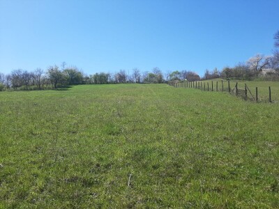 Kakvo će vreme biti ove godine?