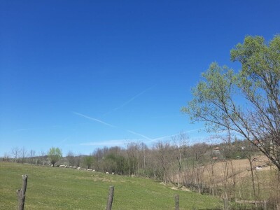 Kakvo će vreme biti ove godine?