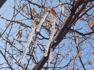 Kakvo će vreme biti ove godine?