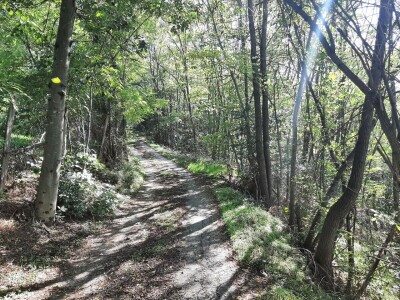 Kakvo će vreme biti ove godine?