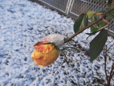 Kakvo će vreme biti ove godine?