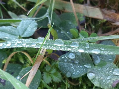 Kakvo će vreme biti ove godine?