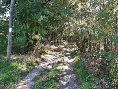 Kakvo će vreme biti ove godine?