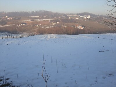 Kakvo će vreme biti ove godine?