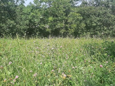 Kakvo će vreme biti ove godine?