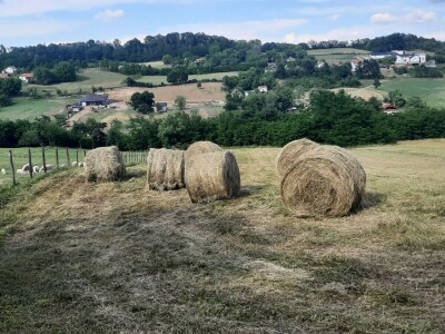 Kakvo će vreme biti ove godine?
