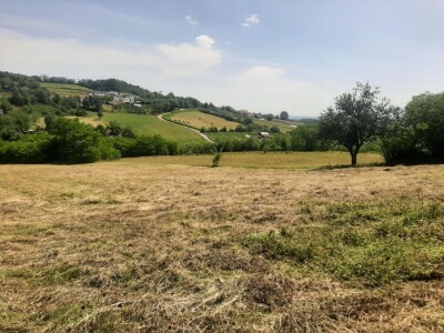 Kakvo će vreme biti ove godine?