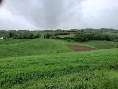 Kalcifikacija zemljišta veoma bitna