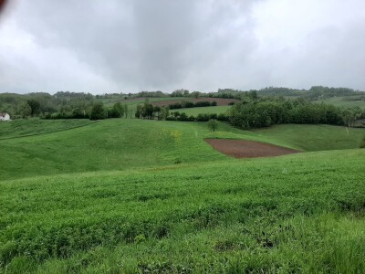 Kalcifikacija zemljišta veoma bitna