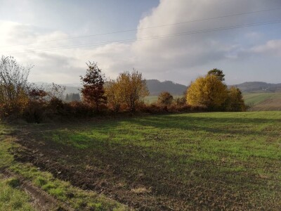 Kalcifikacija zemljišta veoma bitna