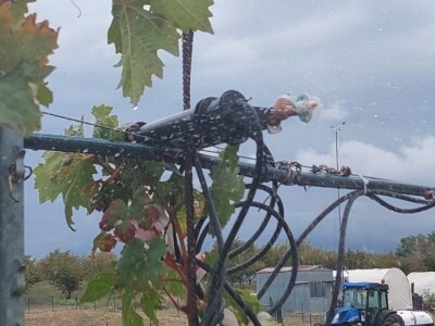 Kalibracija mehanizacije za zaštitu biljaka Kalibracija mehanizacije za zaštitu biljaka