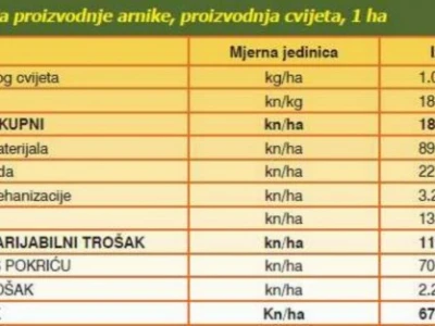 Kalkulacija proizvodnje arnike