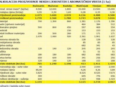 Kalkulacija proizvodnje nekih ljekovitih i aromatičnih vrsta Kalkulacija proizvodnje nekih ljekovitih i aromatičnih vrsta