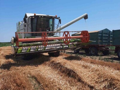 Kalkulacija troškova proizvodnje pšenice 2021. godine