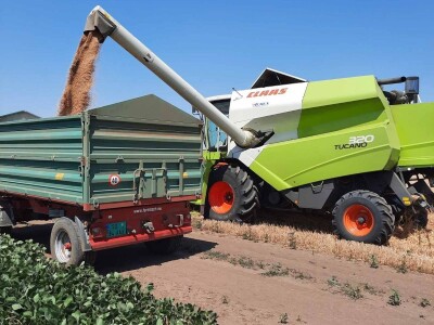 Kalkulacija troškova proizvodnje pšenice 2021. godine