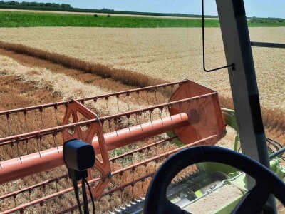 Kalkulacija troškova proizvodnje pšenice 2021. godine