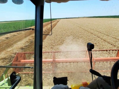 Kalkulacija troškova proizvodnje pšenice 2021. godine