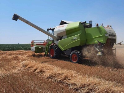 Kalkulacija troškova proizvodnje pšenice 2021. godine