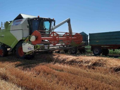 Kalkulacija troškova proizvodnje pšenice 2021. godine