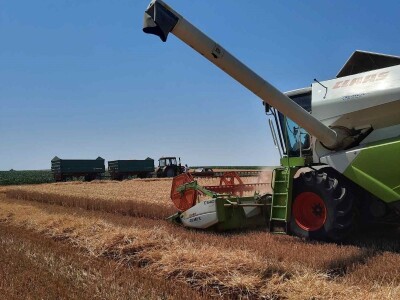 Kalkulacija troškova proizvodnje pšenice 2021. godine