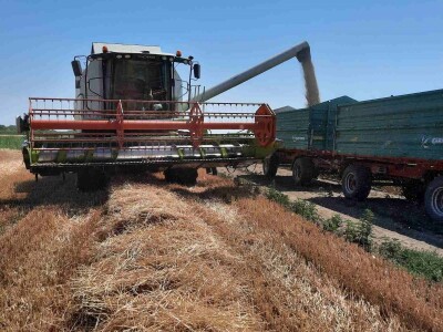 Kalkulacija troškova proizvodnje pšenice 2021. godine