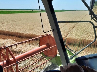 Kalkulacija troškova proizvodnje pšenice 2021. godine